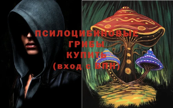 прущая мука Армянск