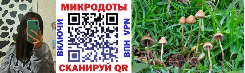 Псилоцибиновые грибы мухоморы мега онион Абаза